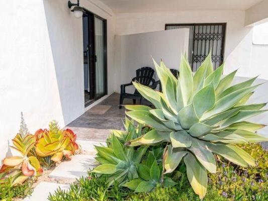 Paternoster Roosmarijn Rooms - Inverter מראה חיצוני תמונה
